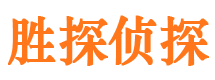 蒙城市私人侦探